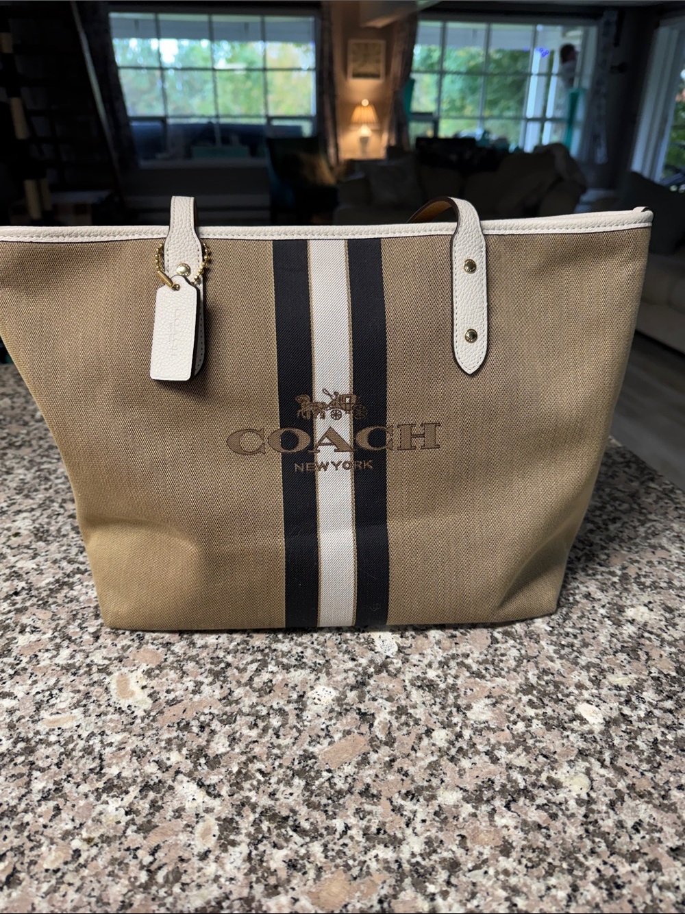 Coach Canvas Stripe Tote with White Trim